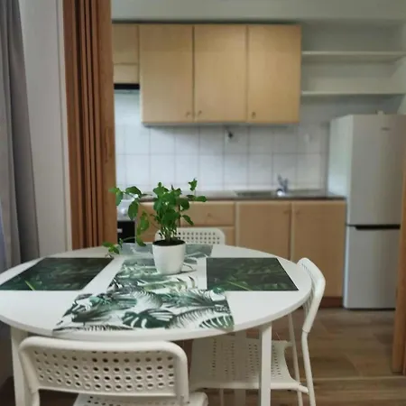 2-room, Garden, Close To The Center * Πόζναν